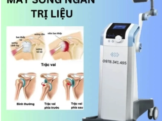44. Máy thấu nhiệt sóng ngắn BTL - 6000 SHORTWAVE 200