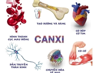 THIẾU CANXI: TÁC NHÂN ÂM THẦM PHÁ HỦY XƯƠNG VÀ SỨC KHỎE NGƯỜI TRUNG NIÊN